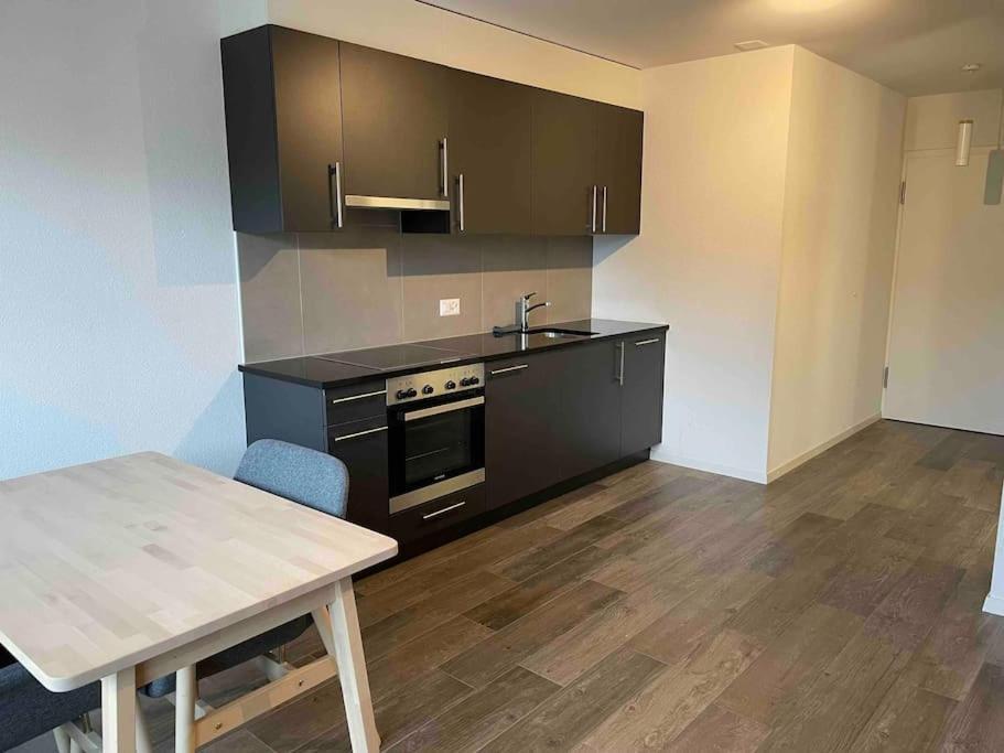 Appartement Proche Lausanne: Studio Bien Equipe à Prilly Extérieur photo