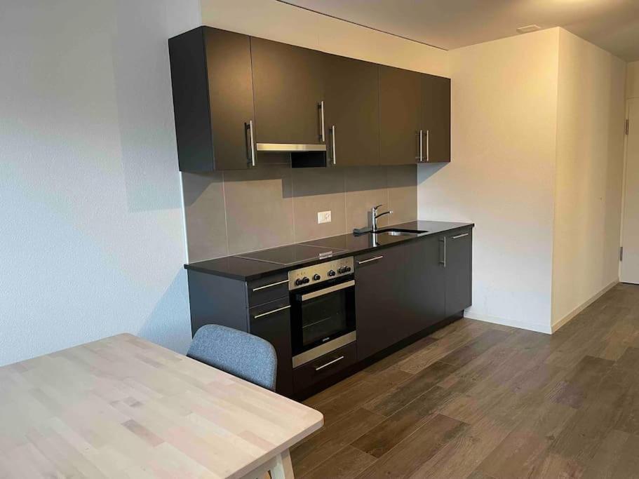 Appartement Proche Lausanne: Studio Bien Equipe à Prilly Extérieur photo