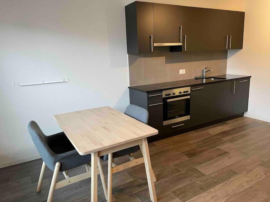 Appartement Proche Lausanne: Studio Bien Equipe à Prilly Extérieur photo